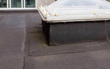 disadvantages of Catley Lane Head flat roofs
