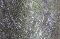 Catley Lane Head fibreglass roof work